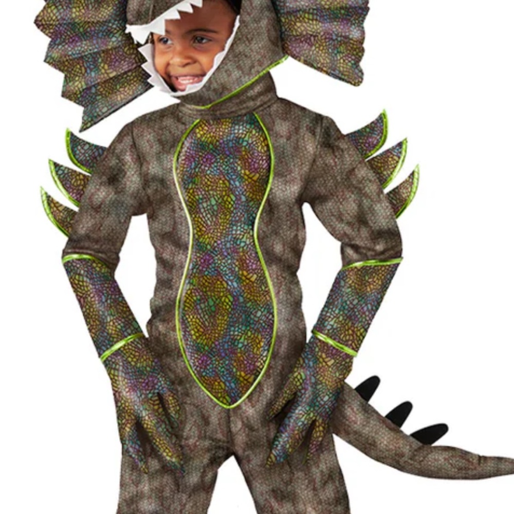 Kids Multicolor Dragon Costume Hoodie - Brand
